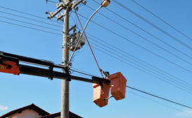 Operação para retirar ninhos de João de Barro da rede elétrica