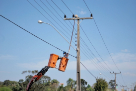 Operação para retirar ninhos de João de Barro da rede elétrica